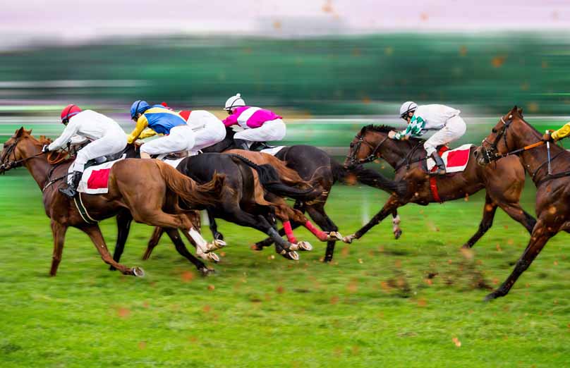 Newmarket Rowley Mile The July Festival 